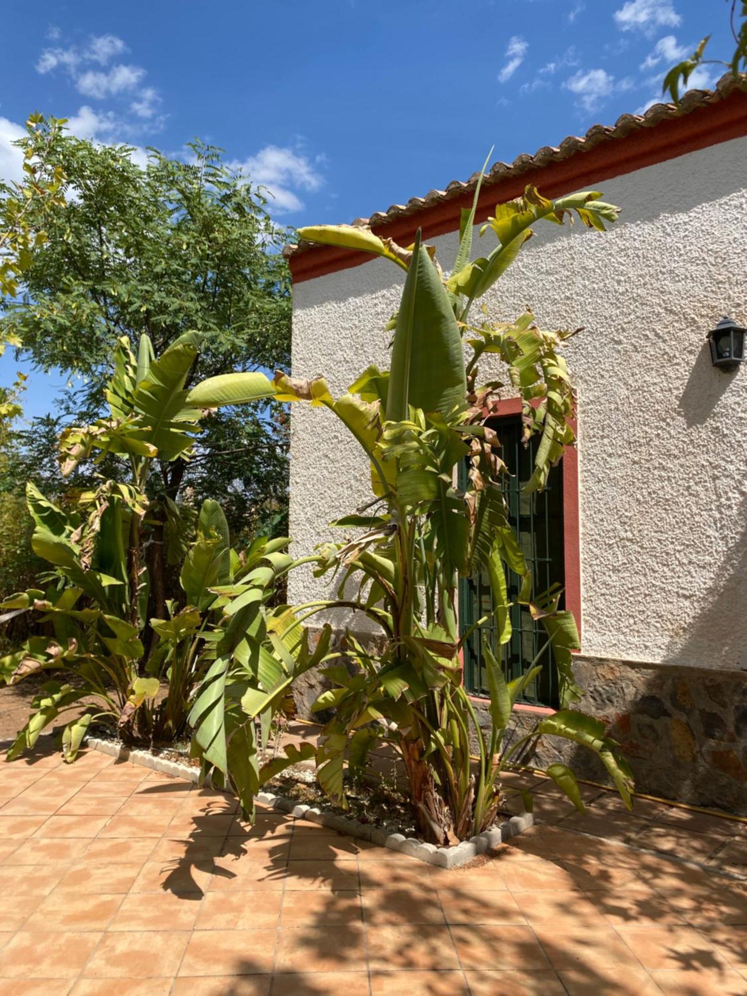 Real Fundicion De Alcora Villa Canjáyar Exterior foto