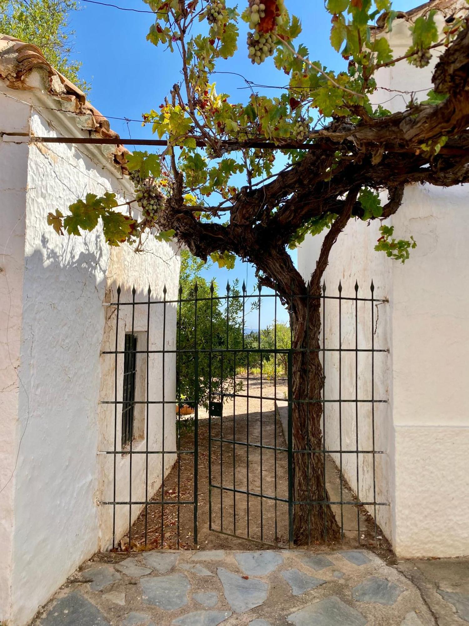 Real Fundicion De Alcora Villa Canjáyar Exterior foto