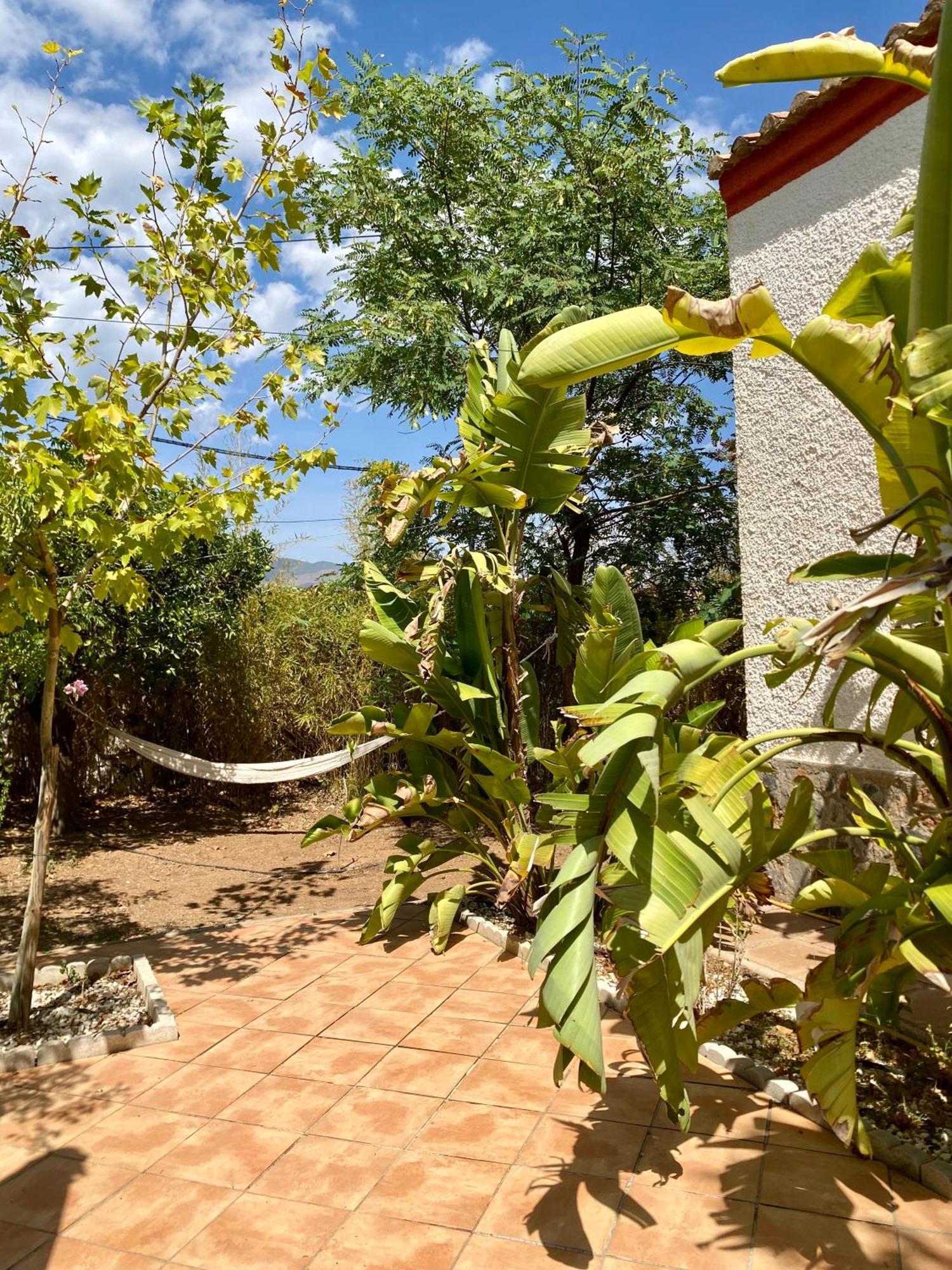Real Fundicion De Alcora Villa Canjáyar Exterior foto