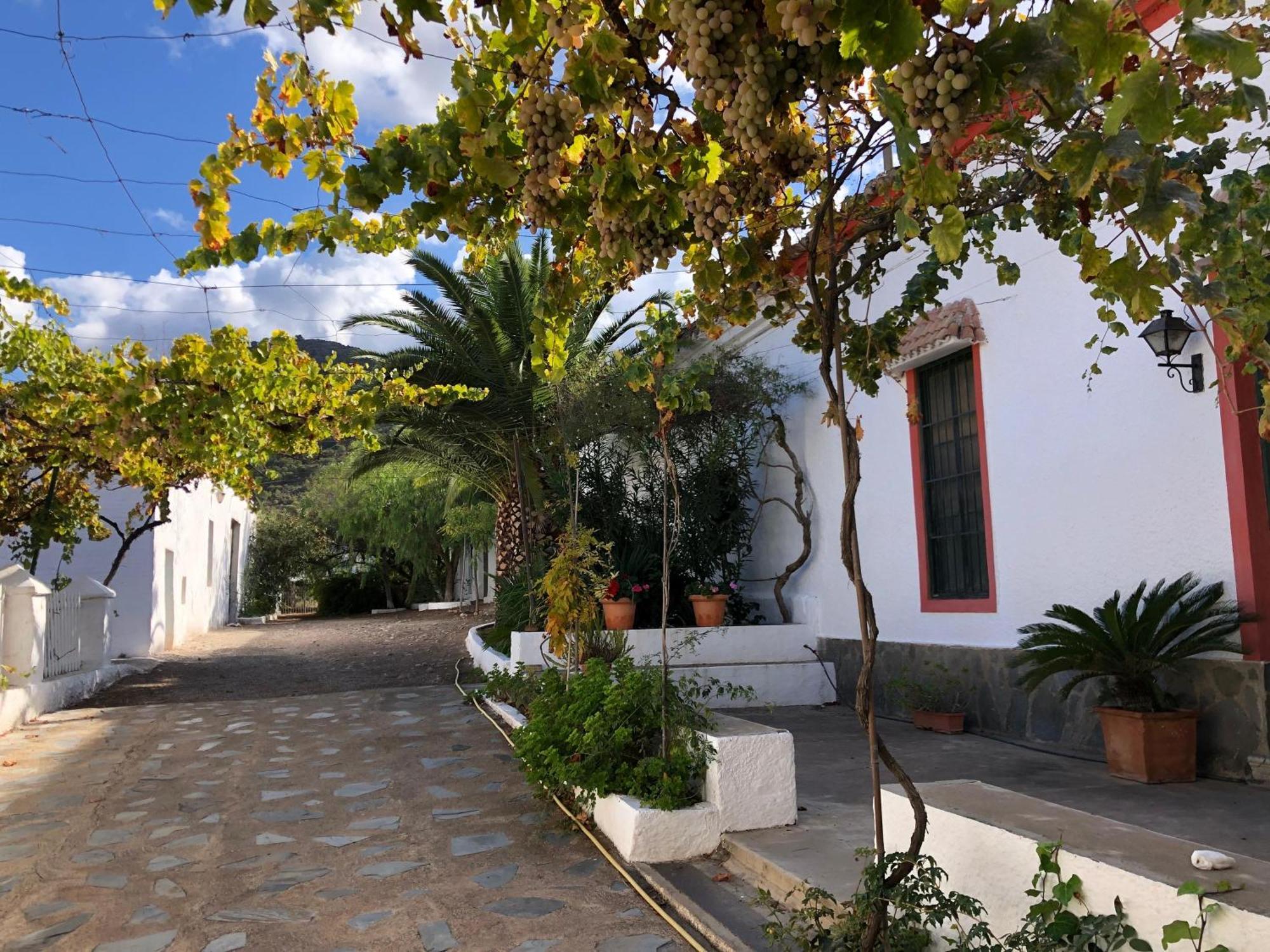 Real Fundicion De Alcora Villa Canjáyar Exterior foto